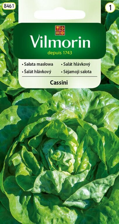 Vilmorin CLASSIC Salát listový CASSINI časný 0,5 g